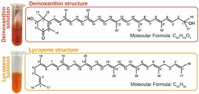 Insights into the synthesis, engineering, and functions of microbial pigments in Deinococcus bacteria